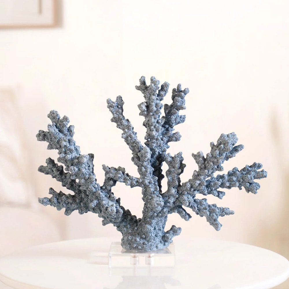 Corals